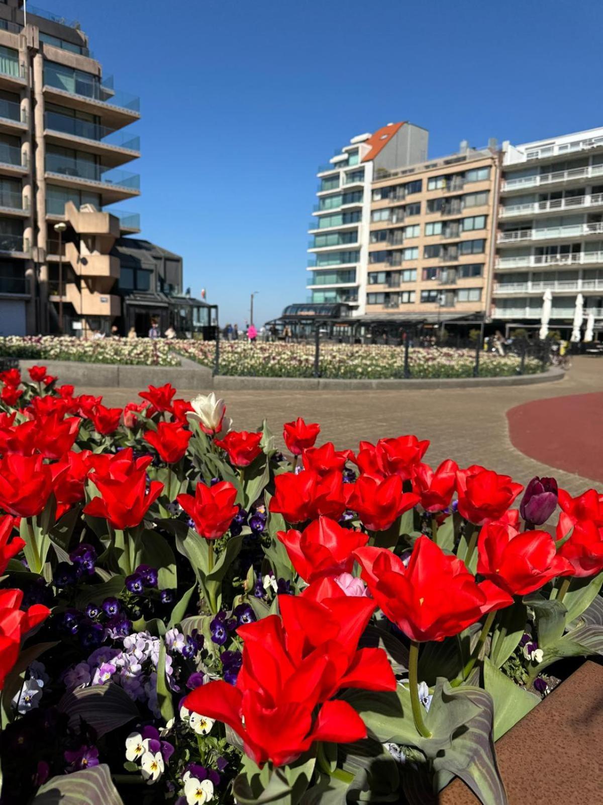 Luxe Studio/Suite Met Zeezicht En Volle Zon Knokke-Heist Exteriér fotografie